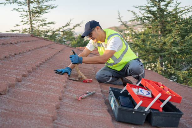 Best Metal Roofing Contractor  in Lake In The Hls, IL
