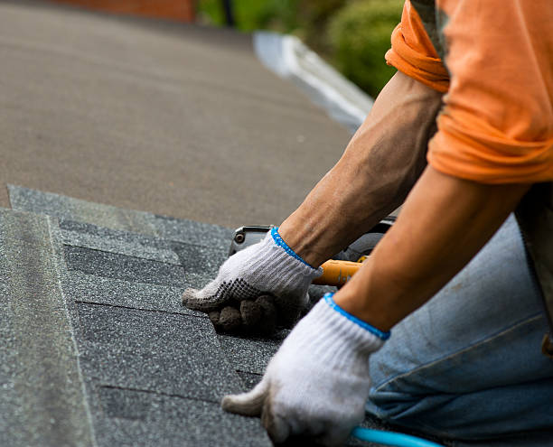 Best Roof Leak Repair  in Lake In The Hls, IL